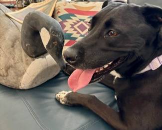 Pepper & Friend