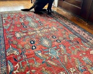 Wonderful Rugs