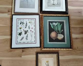 Lot Of 5 Prints
