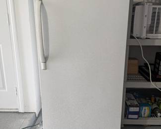 Standing Freezer