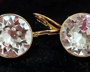 MYJS 1 Pair Earrings
