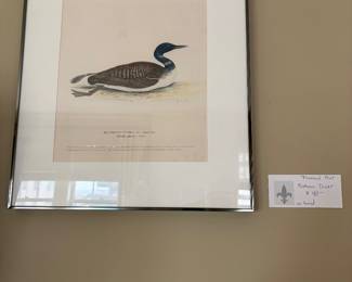 $90. "Northern Diver". engraved print