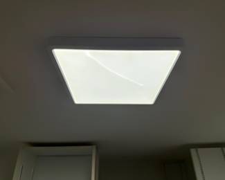 LIGHT
