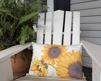 Adirondack chairs, Pottery Barn outdoor pillows