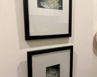 Signed photography