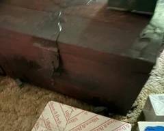 trunk