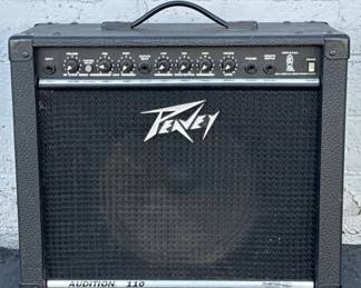 peavy amp