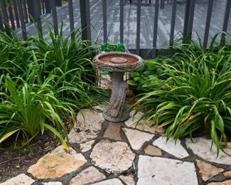 1159Back Yard
