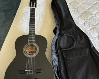 Acoustic Guitar