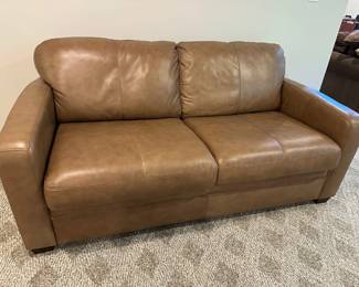 Love Seat Sofa Bed