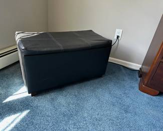 Storage Chest