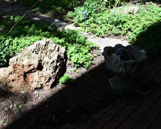 1220Back Yard