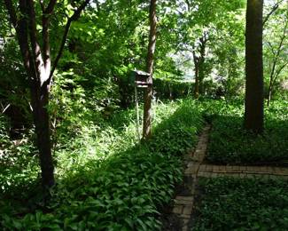 1225Back Yard