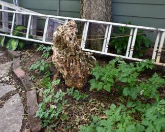 1216Back Yard