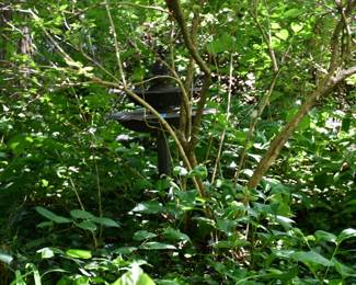 1226Back Yard