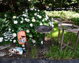 1191Back Yard