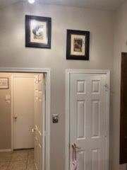 Gallery image 52