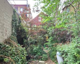 ALL backyard plants and foliage is available for sale - please bring a shovel and be prepared to dig out