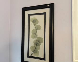 Art Framed Botanical