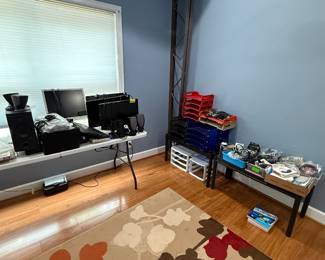 Lively Rug, Computer Monitors & Speakers