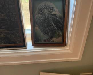 Art Framed Owl