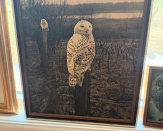 Art Framed Owls