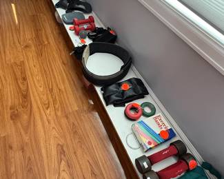 Fitness Items, Hand and Leg Weights