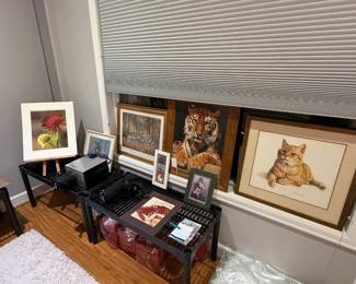 Framed Photographic Art and Paintings