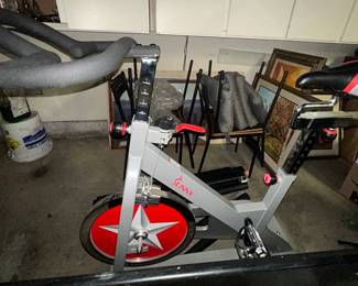 Sunny Fitness Bicycle