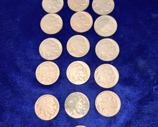 Collection of Buffalo nickels 