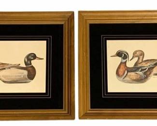 307 - 2 Framed Prints - 14.5 x 16.5