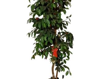 319 - Artificial Indoor Tree - 74" tall