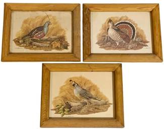 301 - 3 Framed Prints - 9.5 x 7.5 each