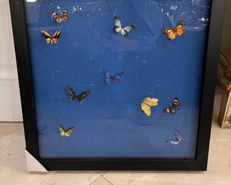 Framed paper butterflies on cobalt blue background – 24” square