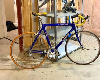 classic Trek 5900 OCLV carbon fiber road bike