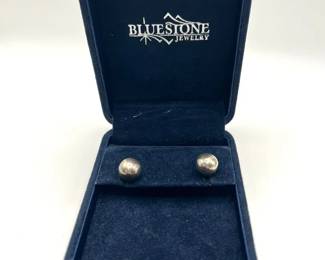 Blue Stone Silver Tone Earrings