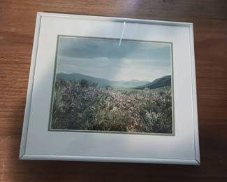 Framed Photograph Of A Field