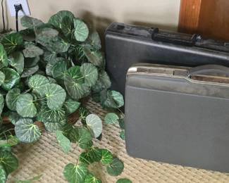 Artificial Plants- Briefcases