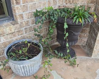 Planters - We have a pair of Both