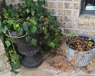 Other Planters