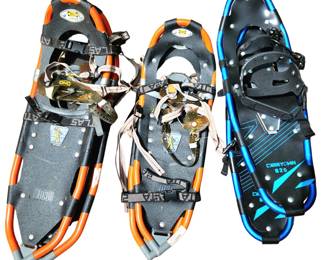 Snow Shoes