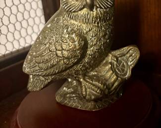 Owl