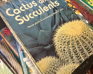 Cactus