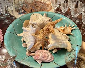 Seashells & Glasses