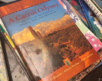 Cactus Odyssey