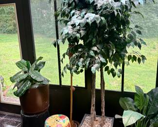 More Tropical Foliage and Gorgeous Garden Stool