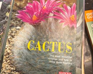Cactus