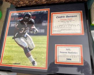 Cedric Benson Chicago Bears tribute