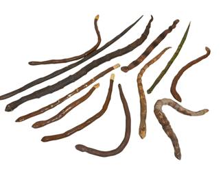 Collection Early 20th C Folk Art Snakes,Texas 