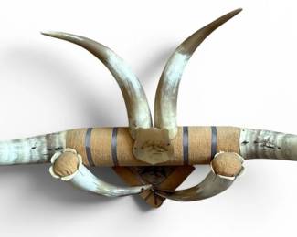 Mexican Folk Art Steer Horn Mount Rack 